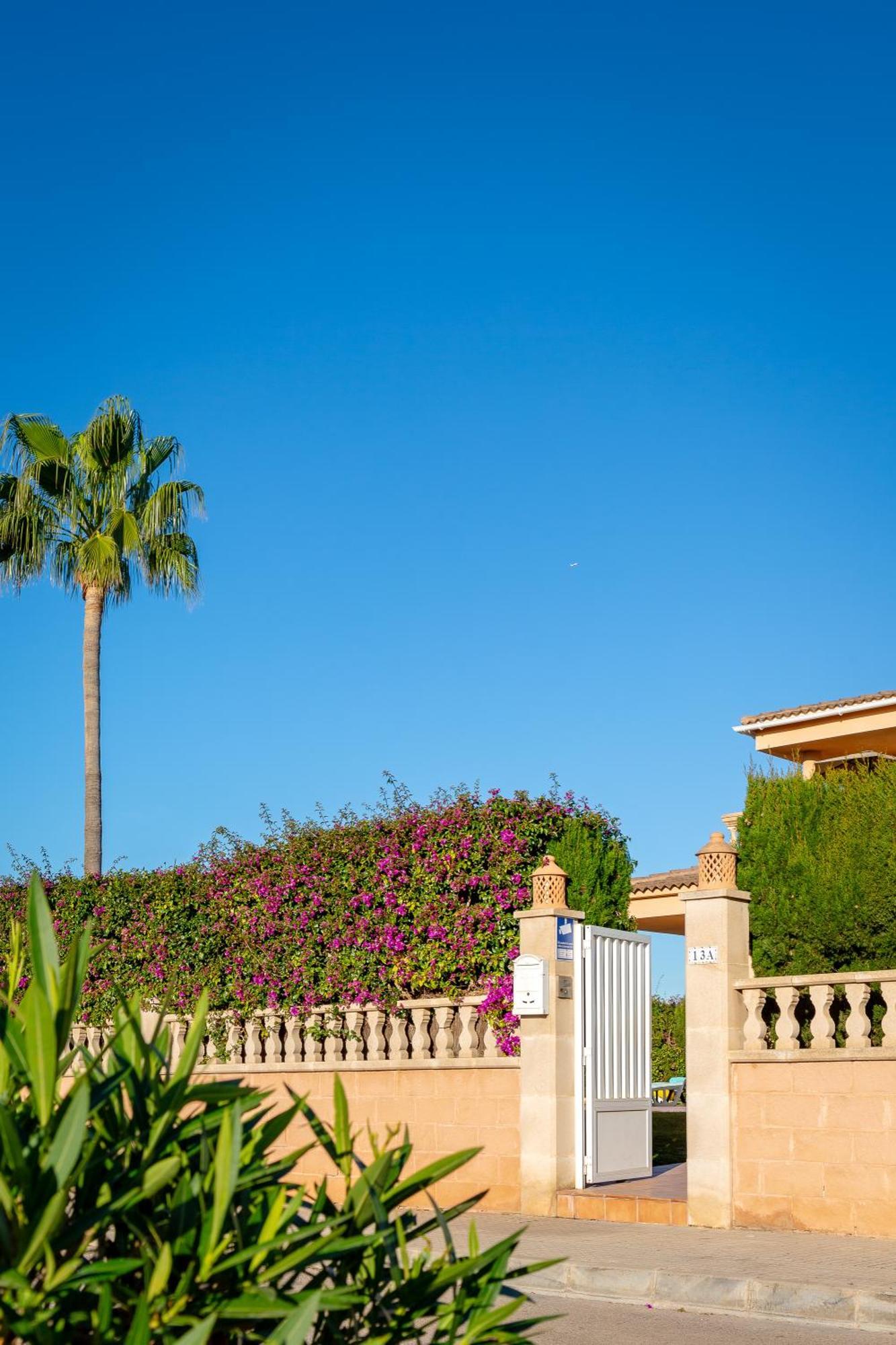 Villa Palmera Palma Exterior foto